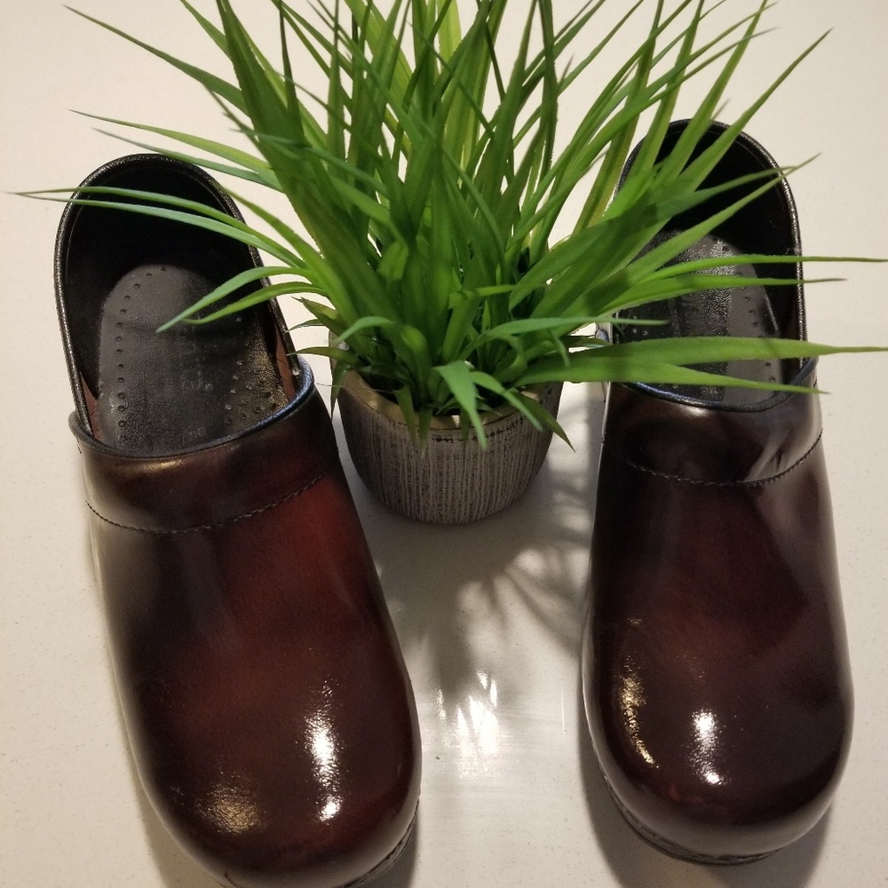 Sanita Nurse/Hospital Shoe